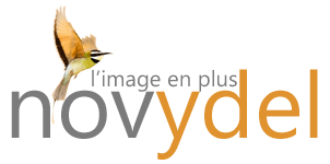 Logo Novydel
